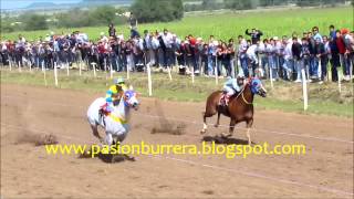 Libriana, Rio Seco (07-04-13)