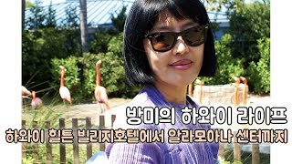 방미의 하와이 라이프 : 하와이 힐튼 빌리지 호텔에서 알라모아나 센터까지