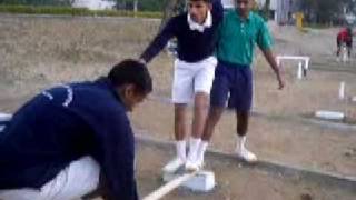 SSBJ Group Task 2