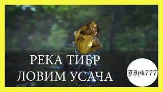 Fishing Planet PS4 #37.РЕКА ТИБР УСАЧ