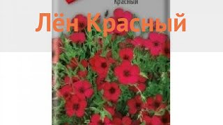 Лен красный Красный (krasnyy) ? красный лен Красный обзор: как сажать, семена льна Красный