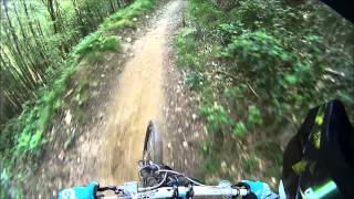 Cwmcarn Crash reel