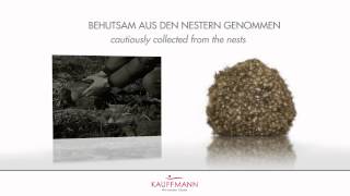 Eiderdaunen-Decken von Kauffmann bei Bettenhaus Gailing