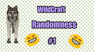 WildCraft•Randomness #1