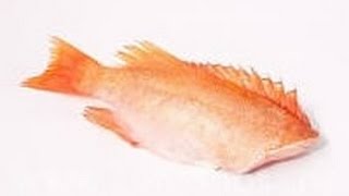 РЫБНЫЙ суп из МОРСКОГО ОКУНЯ.Хорош для похудения..