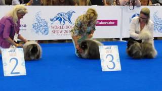 World Dog Show 2016 пекинесы кобели юниоры