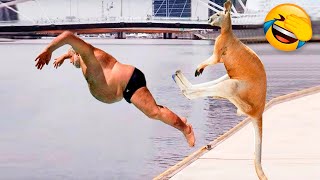 Best Funny Animal Videos Of The 2021 ???? - Funny Wild And Farm Animals Videos ????