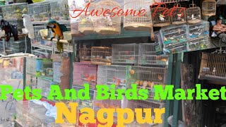 Birds and Pets market, Nagpur.... various Pet's available at affordable price..