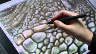 Wacom Cintiq 27 QHD Review und erste Anwendungen