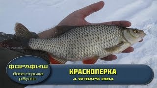 Зимняя рыбалка. Подводная съемка. Астрахань. Нижняя Волга