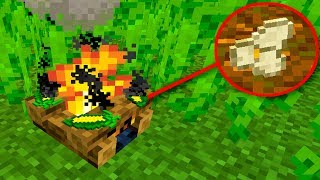 The FOOD UPDATE Minecraft NEEDS!
