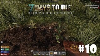 7 Days to Die (Alpha 15) #10 - Первый огород