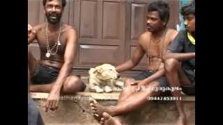 Amazing dog following the devotees of lord ayyappa during  SABARIMALA PADA YATRA