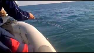 come si rompe una canna da pesca (rossano)