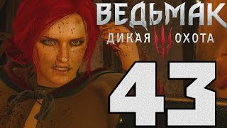 Прохождение Ведьмак 3 Дикая Охота — #43 (Сокровища графа Ройвена)