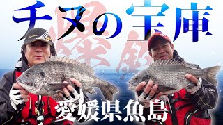 「ニューチヌパワーダッシュ」の威力で、チヌが爆釣！愛媛県魚島