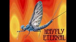 Sulyap by Mayfly Eternal