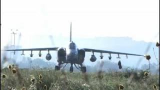 Air Forces - Zinuj