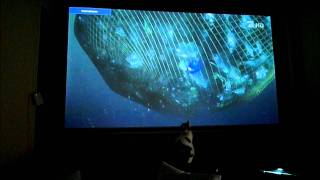 Benq w700 + 3,30m Bilddiagonale