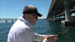 Dexter-Russell Fish Knives - Chunking