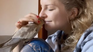A tiny parrot has become this woman's emotional support animal