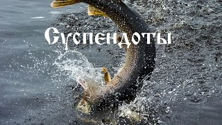 Заглубители для воблеров суспендоты " Suspendots "