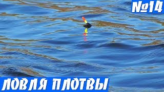 Рыбалка на удочку в мае. Плотва на поплавок весной