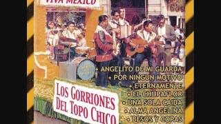 Los Gorriones Del Topo Chico - Capullito De Alheli