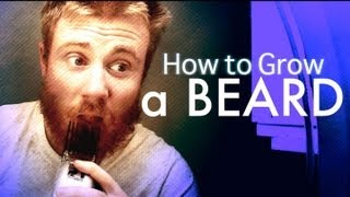 GROW A BEARD: How to Make Your BEARD look PRESENTABLE!
