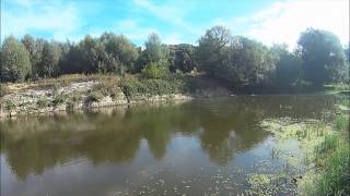 Ryby Krosno Odrzanskie