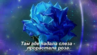... А ЛЮБИМЫЕ ЦВЕТЫ -  ГОЛУБЫЕ РОЗЫ