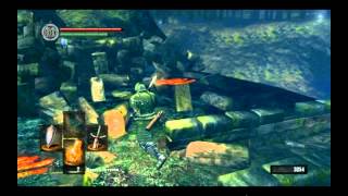 Dark Souls : PvP в лесу