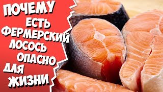 ПОЧЕМУ ЕСТЬ ФЕРМЕРСКИЙ ЛОСОСЬ ОПАСНО ДЛЯ ЖИЗНИ