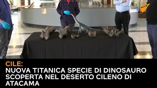 Cile, nuova titanica specie di dinosauro scoperta nel deserto cileno di Atacama