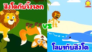 นิทานอีสปเรื่องจิ้งจอกกับสิงโต vs โลมากับสิงโต