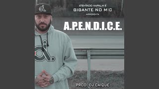 A. P. E. N. D. I. C. E.