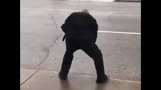 Stayin' alive - meth version