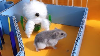3-Box Maze for Hamster - Mummy Escape Maze