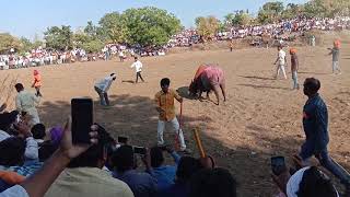 Mendkyacha vagh