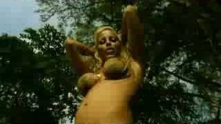 Linni Meister - Survivor