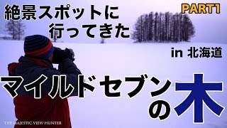 【プロカメラマン、山村健児が行く】北海道にあるマイルドセブンの木を絶景ハント！