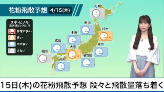 4月15日(木)の花粉飛散予想 段々と飛散量は落ち着く