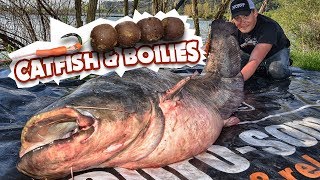 Невероятная рыбалка на сома весной! Ловля сома на бойлы.