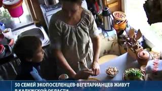 Побег из большого города:  успешные люди живут в лесу