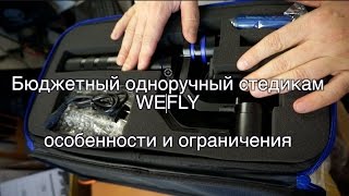 Wefly. Особенности и ограничения электронного стедикама