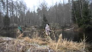Пробы в Spey