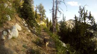 The Elkhorn Crest Trail Pack Trip