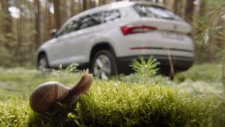 ŠKODA KODIAQ:  Obnovte spojenie s prírodou