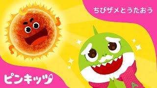 おひさま、まぶしいね | サメのかぞく | ちびザメとうたおう | ピンキッツ童謡