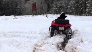 КВАДРОЦИКЛ  ARCTIC CAT 650 H1 №1.5 (ДЕТИ).